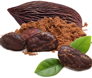 Cacao