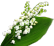 Muguet