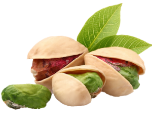 Pistache